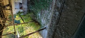 Enlarge photo 441