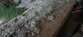 Enlarge photo 445