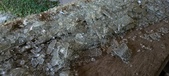 Enlarge photo 446