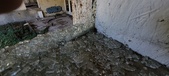Enlarge photo 447
