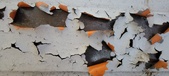 Enlarge photo 476