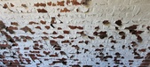 Enlarge photo 478