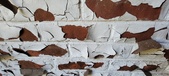 Enlarge photo 480