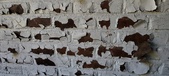 Enlarge photo 481