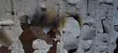 Enlarge photo 482