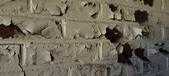 Enlarge photo 484
