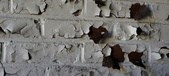 Enlarge photo 485