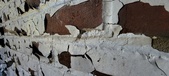 Enlarge photo 488