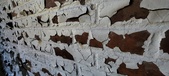 Enlarge photo 490