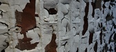 Enlarge photo 491