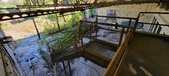 Enlarge photo 498