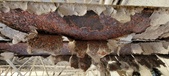 Enlarge photo 506