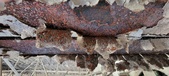 Enlarge photo 510