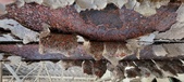 Enlarge photo 507