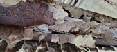 Enlarge photo 508