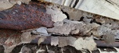 Enlarge photo 509