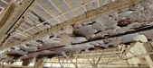 Enlarge photo 511