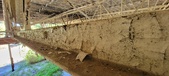 Enlarge photo 514