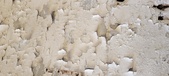 Enlarge photo 531