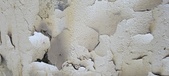 Enlarge photo 535