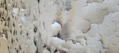 Enlarge photo 536