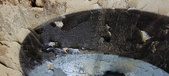 Enlarge photo 537