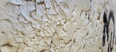 Enlarge photo 539