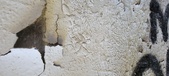 Enlarge photo 540