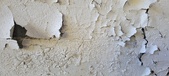 Enlarge photo 541