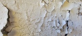 Enlarge photo 542
