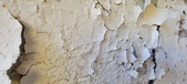 Enlarge photo 543