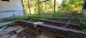 Enlarge photo 545