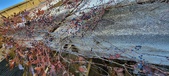 Enlarge photo 561