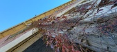 Enlarge photo 565