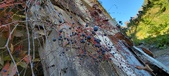 Enlarge photo 567