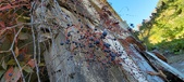 Enlarge photo 568