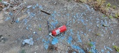 Enlarge photo 569
