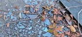 Enlarge photo 577