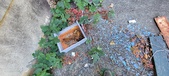 Enlarge photo 576