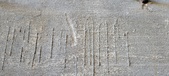 Enlarge photo 230