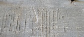 Enlarge photo 237