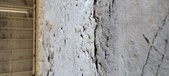 Enlarge photo 235