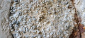 Enlarge photo 234