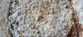 Enlarge photo 241