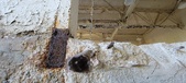 Enlarge photo 249
