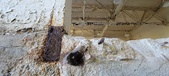 Enlarge photo 248
