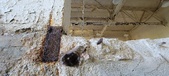Enlarge photo 247