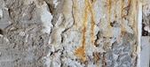 Enlarge photo 246