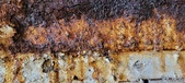 Enlarge photo 252