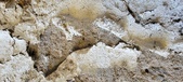 Enlarge photo 250